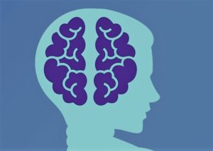 Les fruits de mer aident au bon fonctionnement du cerveau