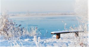 L'hiver est la saison parfaite pour en consommer indique le Pub de Carqueiranne