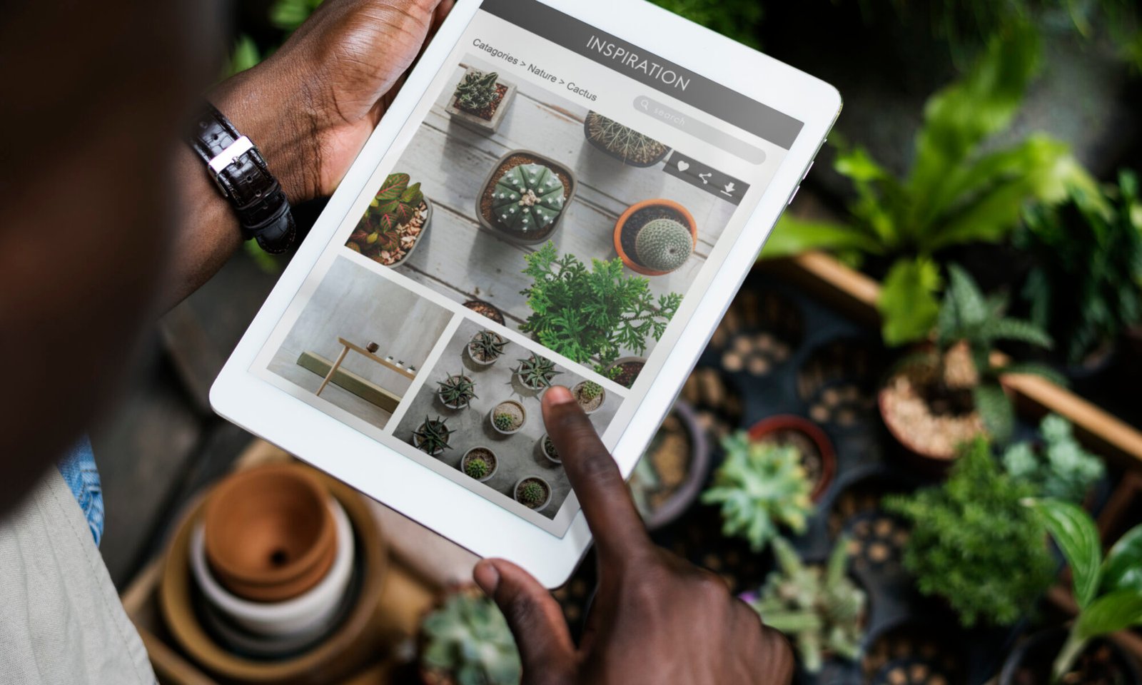 logiciel consultation naturopathie